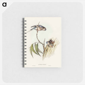 アートメモ帳-Bouke's Grass-Parakeet
 - ジョン グールド Memo.