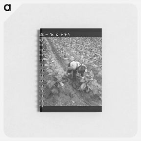 アートメモ帳-Wage laborer topping tobacco - ドロテア ラング Memo.