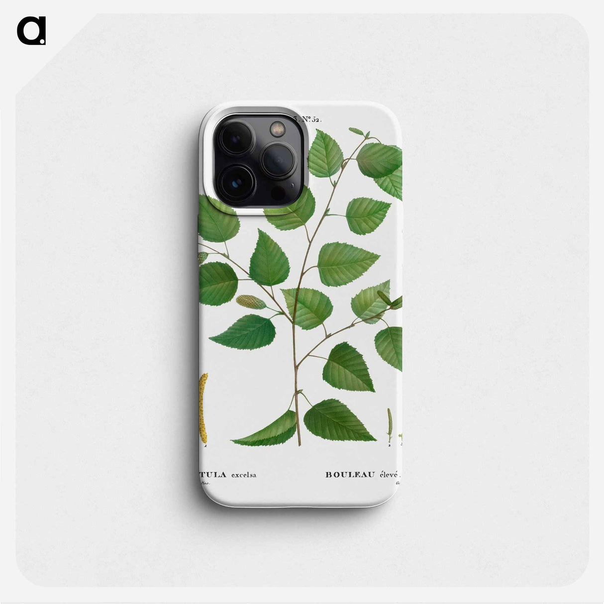 Paper birch - Pierre Joseph Redouté Phone Case.