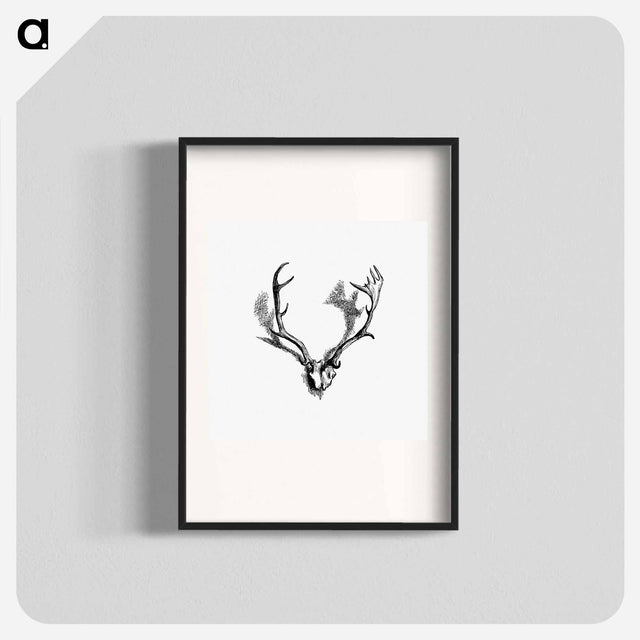 アートポスター-Deer Skull with Horns
 - 大英図書館 Poster.