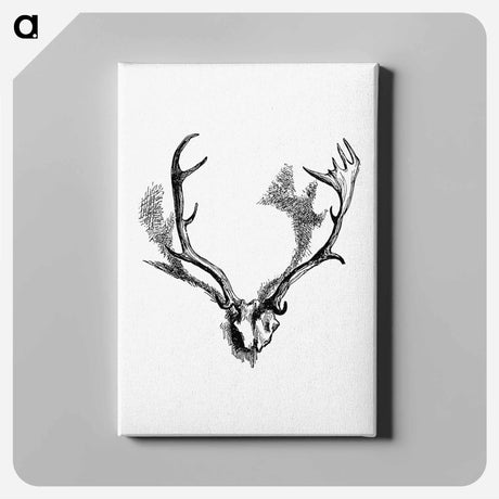 アートパネル-Deer Skull with Horns
 - 大英図書館 Canvas.