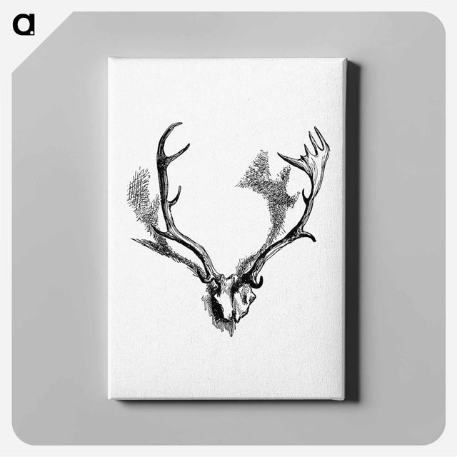 アートパネル-Deer Skull with Horns
 - 大英図書館 Canvas.