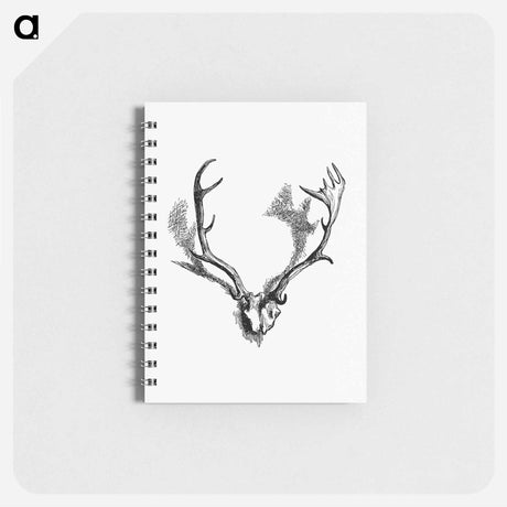 アートメモ帳-Deer Skull with Horns
 - 大英図書館 Memo.