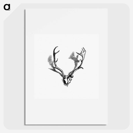 アートポスター-Deer Skull with Horns
 - 大英図書館 Poster.