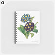 アートメモ帳-Primula Auricula
 - クリーブランド美術館 Memo.