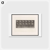アートポストカード-Sulky Driver
 - エドワード マイブリッジ Postcard.