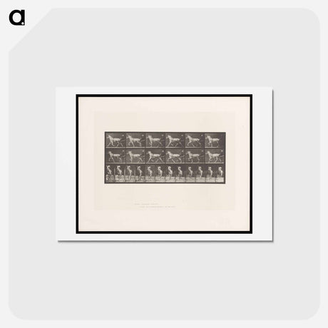 アートポストカード-Sulky Driver
 - エドワード マイブリッジ Postcard.
