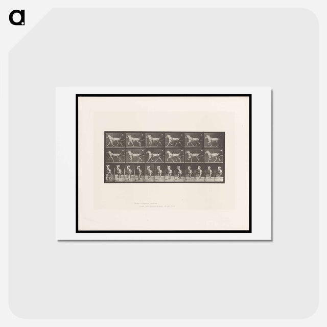 アートポストカード-Sulky Driver
 - エドワード マイブリッジ Postcard.
