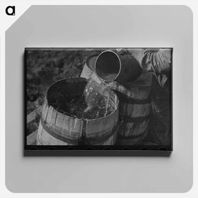 アートパネル-Son of a Fruit Farmer
 - ラッセル リー Canvas.