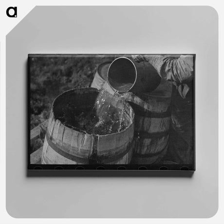 アートパネル-Son of a Fruit Farmer
 - ラッセル リー Canvas.