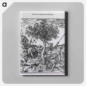 アートパネル-Gathering Pepper in India
 - 国立医学図書館 Canvas.