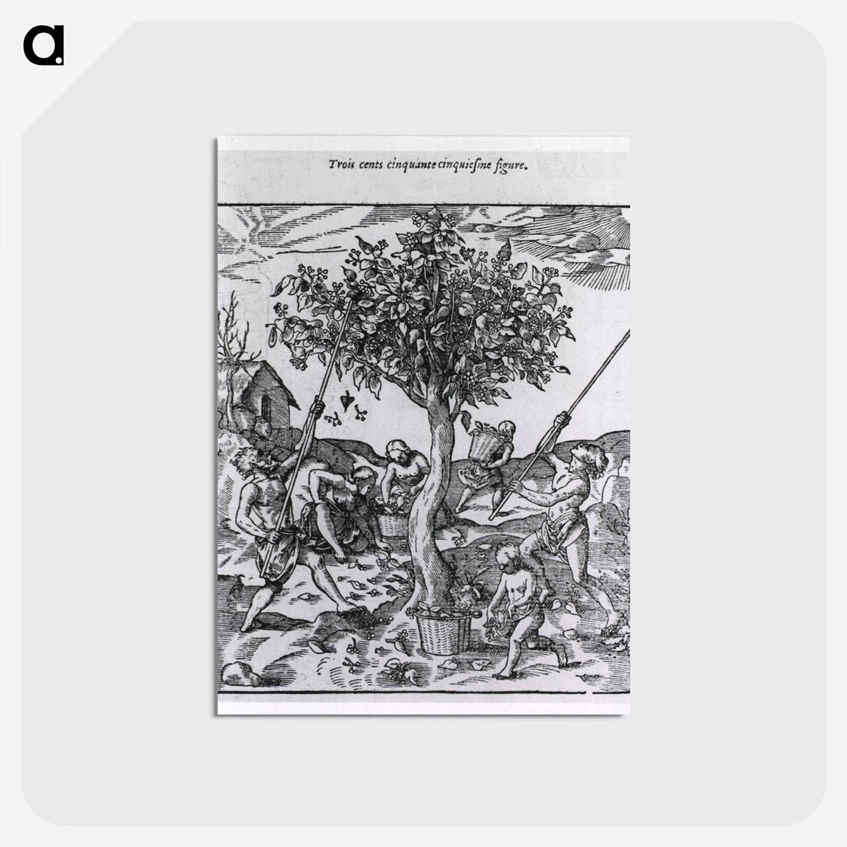 アートポストカード-Gathering Pepper in India
 - 国立医学図書館 Postcard.