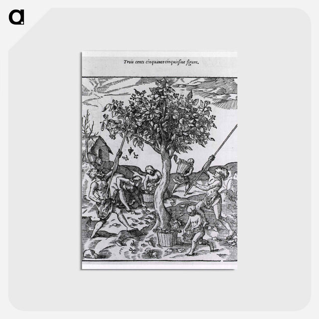 アートポストカード-Gathering Pepper in India
 - 国立医学図書館 Postcard.