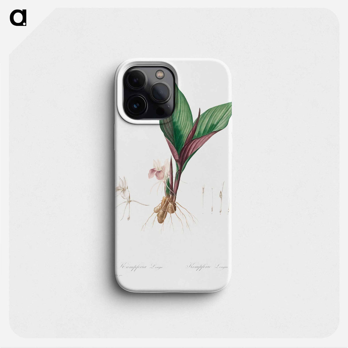 Kaempferia Longa - ピエール ジョゼフ ルドゥーテ Phone Case.