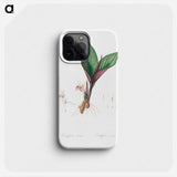 Kaempferia Longa - ピエール ジョゼフ ルドゥーテ Phone Case.
