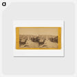 アートポストカード-Russian Hill, from Telegraph Hill
 - エドワード マイブリッジ Postcard.
