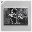 アートパネル-Grave of Lt. Klingen at U. S. Army Base Hospital Number 26, Allerey, France
 - 国立医学図書館 Canvas.