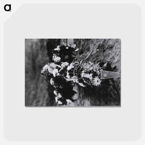 アートポストカード-Grave of Lt. Klingen at U. S. Army Base Hospital Number 26, Allerey, France
 - 国立医学図書館 Postcard.