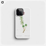 Sedum Anacampseros (Loce Restorer) - Pierre Joseph Redouté Phone Case.