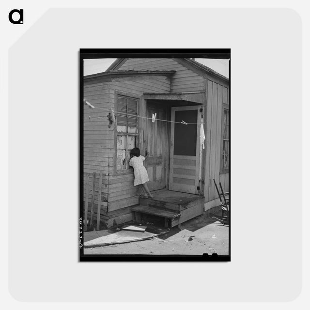 アートポストカード-Little Mexican Girl at the Window
 - ラッセル リー Postcard.