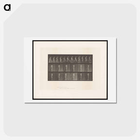 アートポストカード-Nude Ascending
 - エドワード マイブリッジ Postcard.