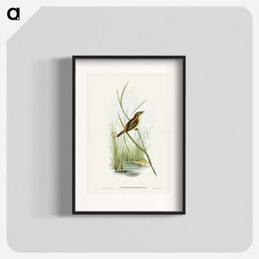 アートポスター-Reed Warbler
 - ジョン グールド Poster.