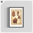 アートポスター-Anatomical Study of the Human Head, Jaw, and Neck Musculature
 - 国立医学図書館 Poster.