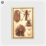 アートポストカード-Anatomical Study of the Human Head, Jaw, and Neck Musculature
 - 国立医学図書館 Postcard.