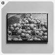 アートパネル-Peanut Shelling Plant
 - ラッセル リー Canvas.