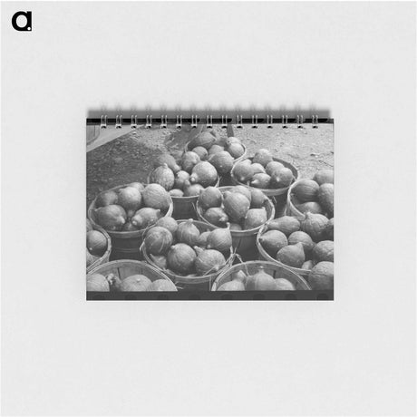アートメモ帳-Peanut Shelling Plant
 - ラッセル リー Memo.