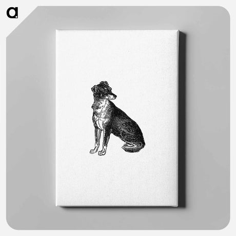 アートパネル-Scottish Deerhound
 - 大英図書館 Canvas.