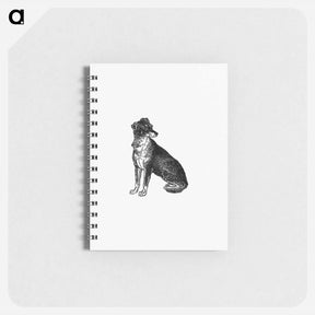 アートメモ帳-Scottish Deerhound
 - 大英図書館 Memo.