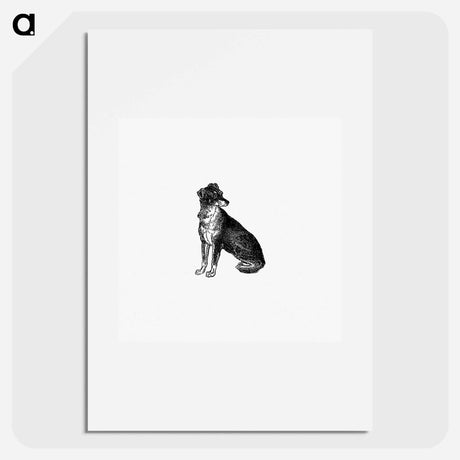 アートポスター-Scottish Deerhound
 - 大英図書館 Poster.