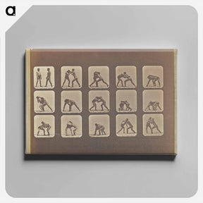 アートパネル-Wrestling
 - エドワード マイブリッジ Canvas.