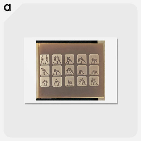 アートポストカード-Wrestling
 - エドワード マイブリッジ Postcard.