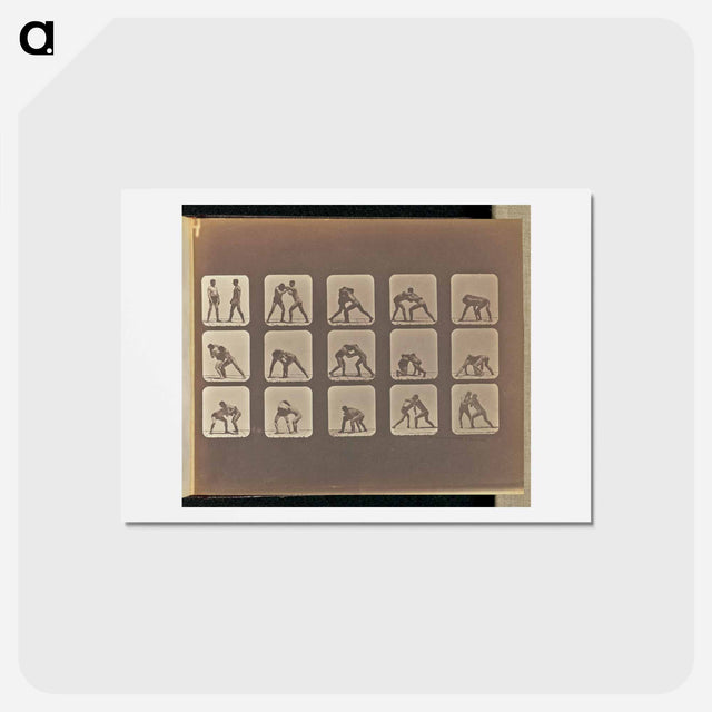 アートポストカード-Wrestling
 - エドワード マイブリッジ Postcard.