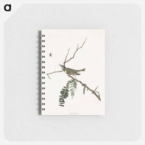 アートメモ帳-Red-Eyed Vireo
 - ジョン ジェームス オーデュボン Memo.