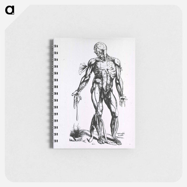 アートメモ帳-Musculature of the Human Body
 - 国立医学図書館 Memo.