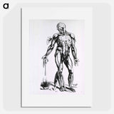 アートポスター-Musculature of the Human Body
 - 国立医学図書館 Poster.