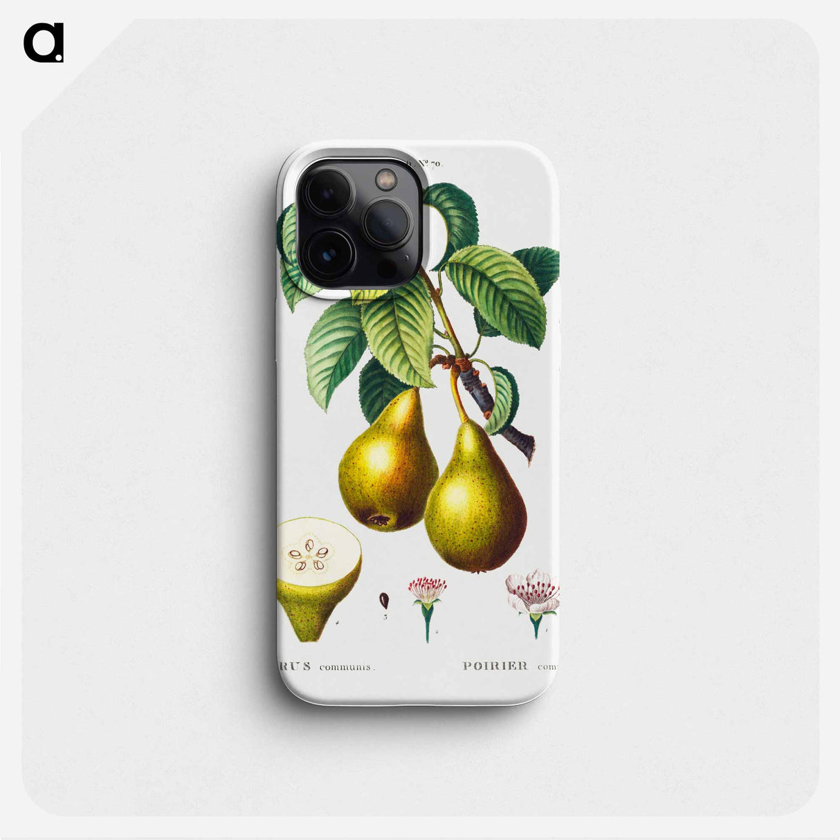 Pears with leaves (Poirier commun) - Pierre Joseph Redouté Phone Case.