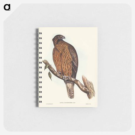 アートメモ帳-Little Australian Eagle
 - オーストラリアの鳥 Memo.