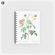 アートメモ帳-Rosa Cinnamomea
 - クリーブランド美術館 Memo.