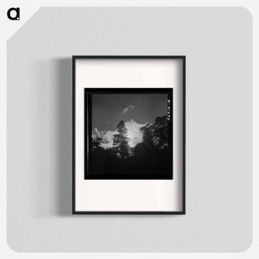 アートポスター-Shasta County Trees
 - ラッセル リー Poster.