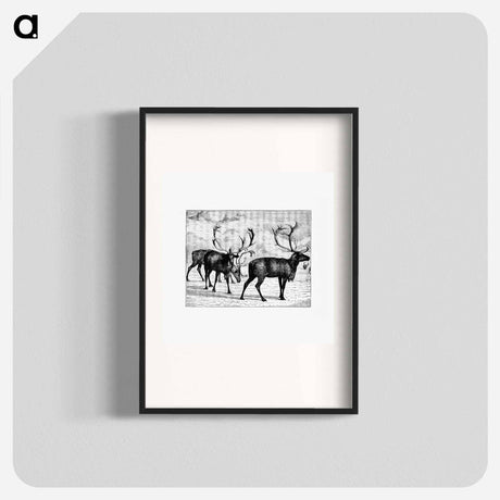 アートポスター-Reindeers from Nimrod In The North
 - 大英図書館 Poster.