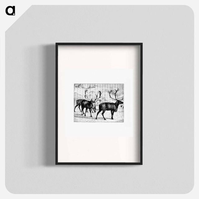 アートポスター-Reindeers from Nimrod In The North
 - 大英図書館 Poster.