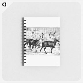 アートメモ帳-Reindeers from Nimrod In The North
 - 大英図書館 Memo.