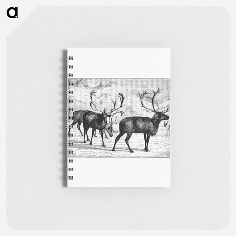 アートメモ帳-Reindeers from Nimrod In The North
 - 大英図書館 Memo.