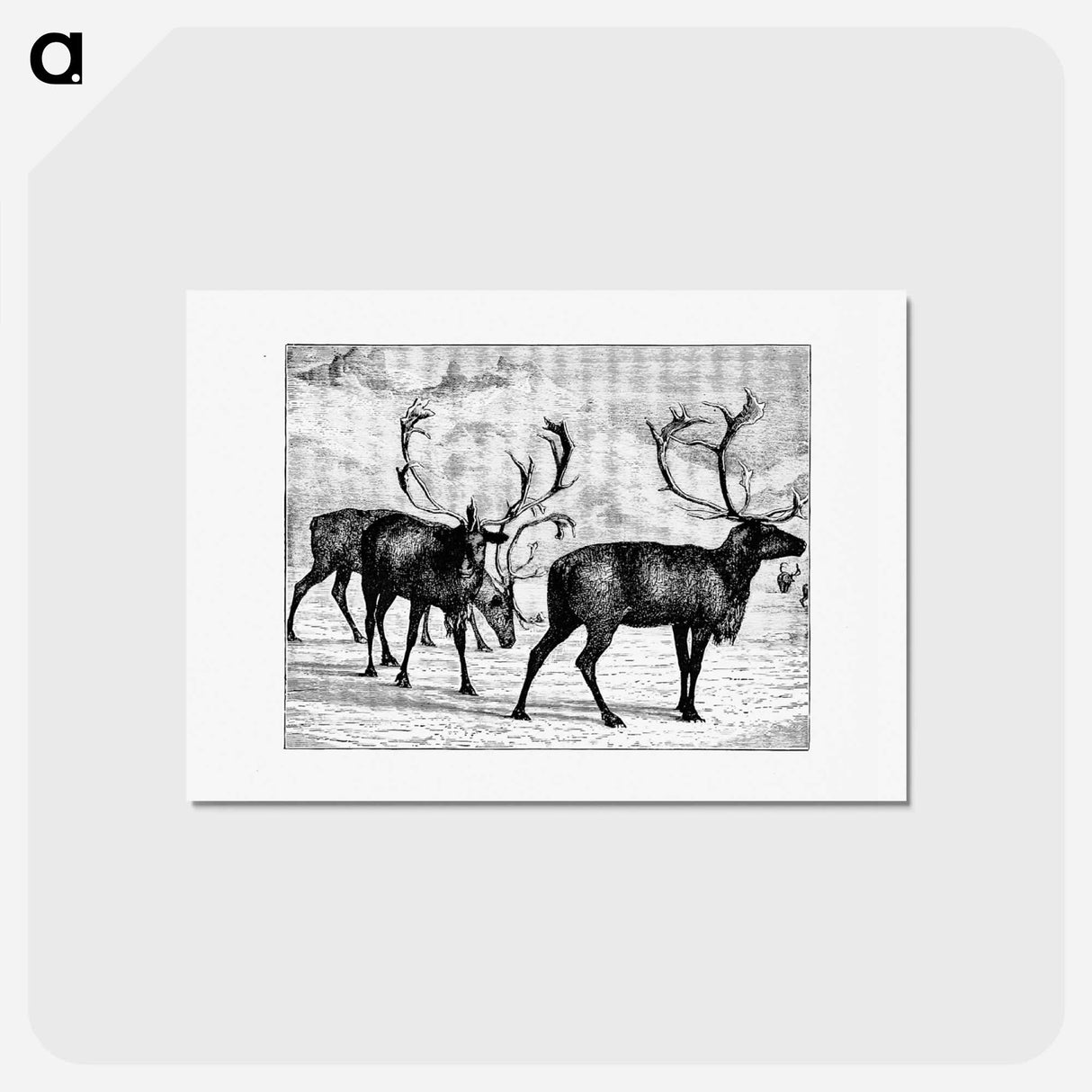 アートポストカード-Reindeers from Nimrod In The North
 - 大英図書館 Postcard.