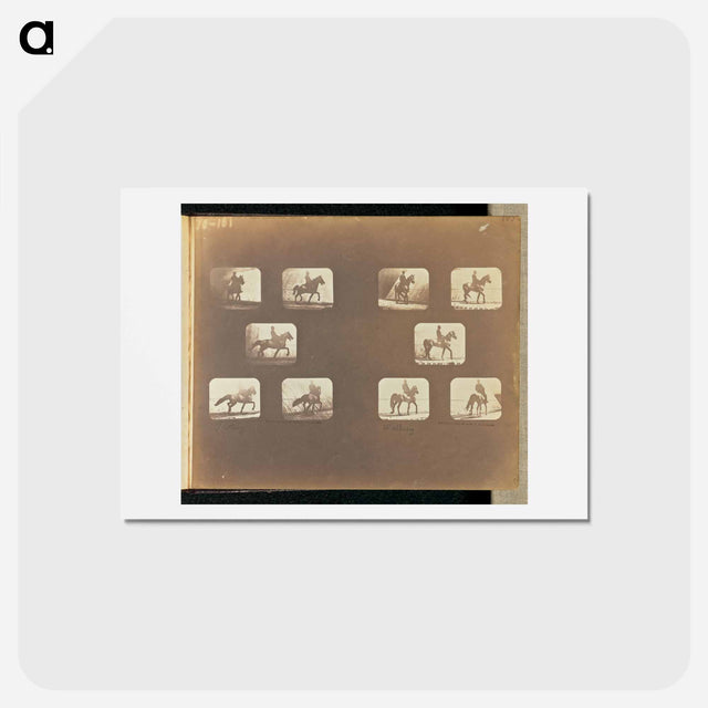 アートポストカード-Trotting. Walking
 - エドワード マイブリッジ Postcard.