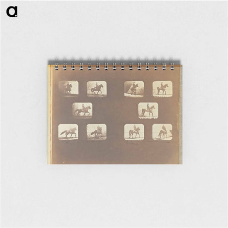 アートメモ帳-Trotting. Walking
 - エドワード マイブリッジ Memo.